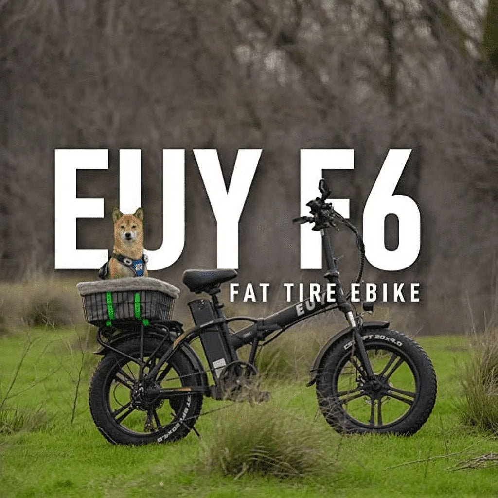 20 Fat Tire Folding Electric Bicycle 750W Motor 48V 20Ah Battery Black W834496