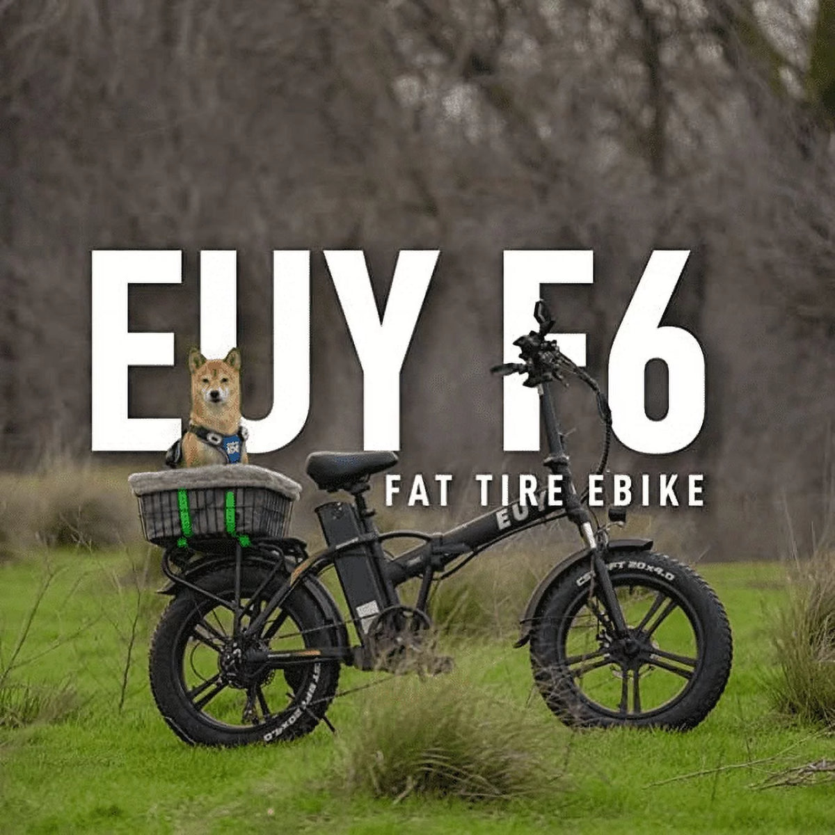 20 Fat Tire Folding Electric Bicycle 750W Motor 48V 20Ah Battery Black W834496
