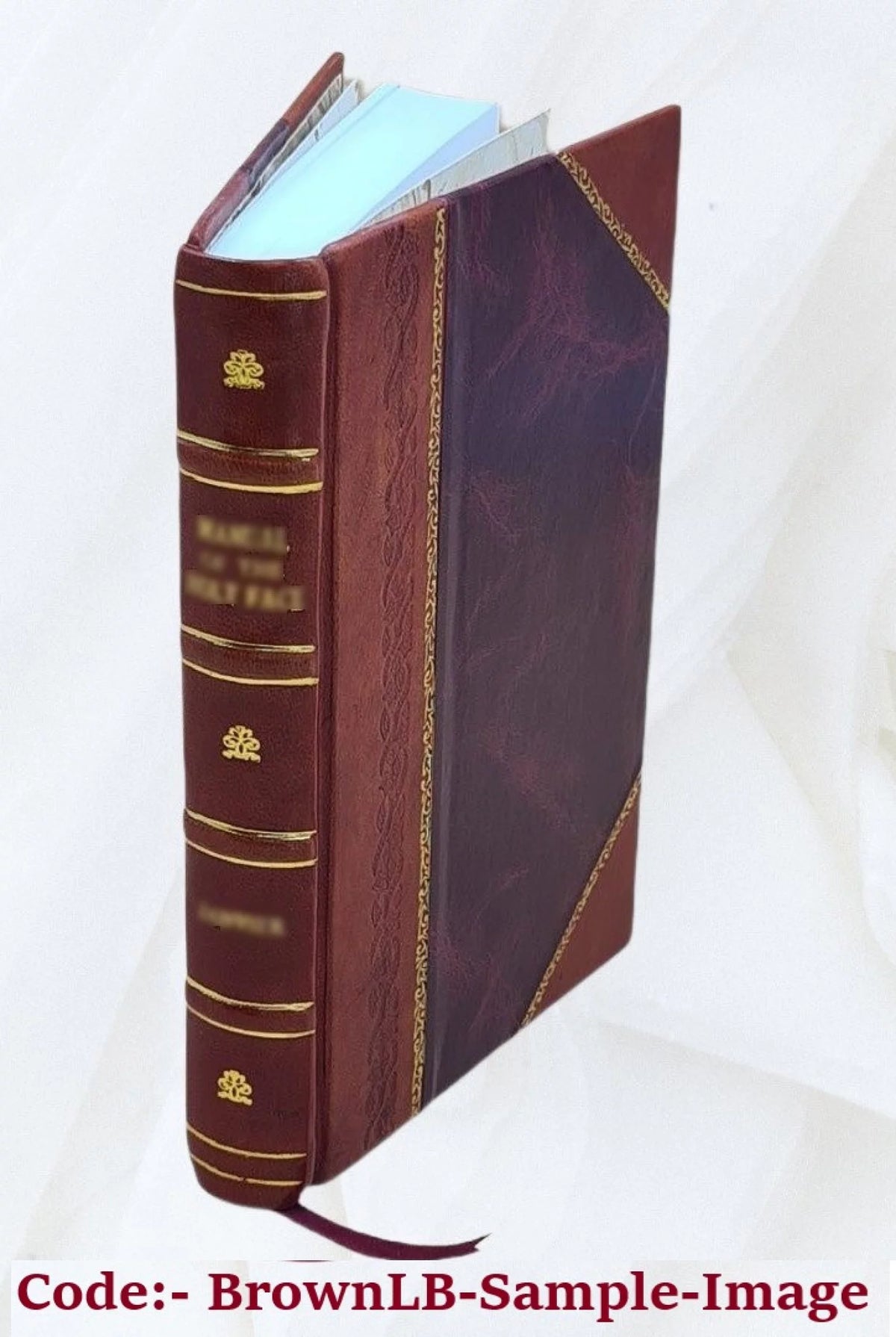 Leather Bound Volume 2 1905 H882