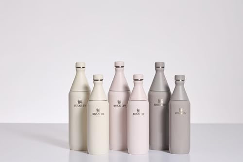 20 oz Insulated Stainless Steel Black Bottle V658851