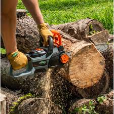 14x22 40V Lithium-Ion Cordless Chainsaw K3808