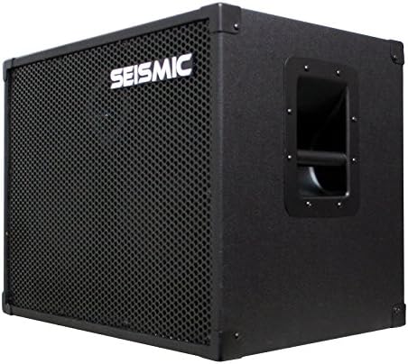 210 Bass Guitar Speaker Cabinet with Horn 200 Watts T442