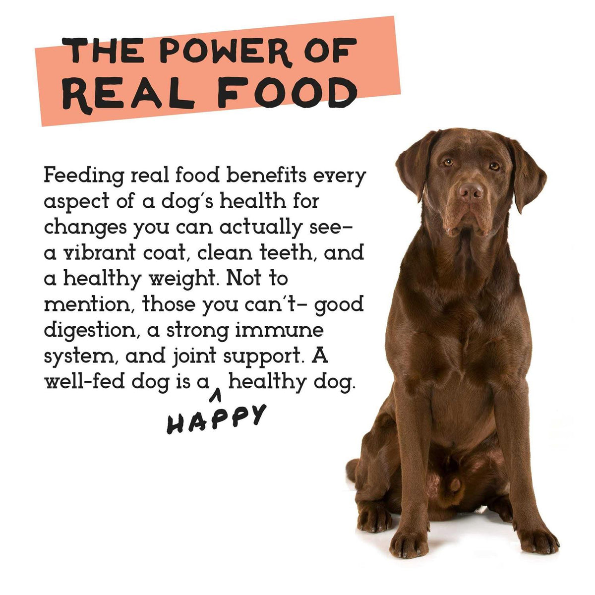 Freeze-Dried Chicken & Turkey Dog Food N2924