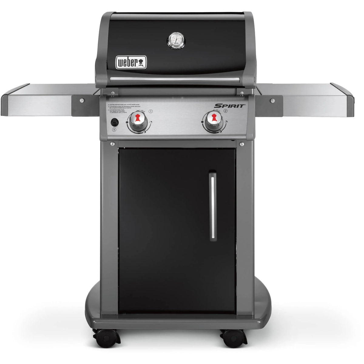 2-Burner Liquid Propane Gas Grill in Black W101
