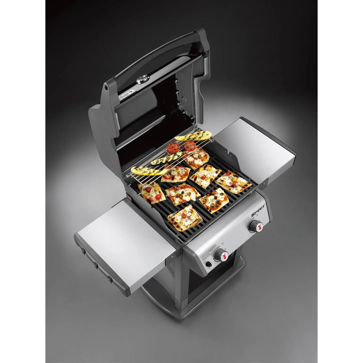 2-Burner Liquid Propane Gas Grill in Black W101