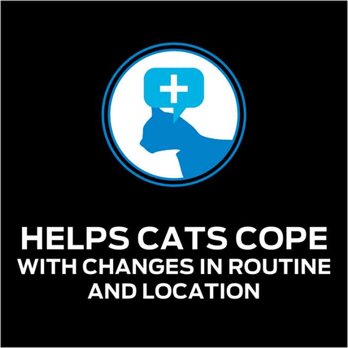 Calming Care Cat Supplement Q622