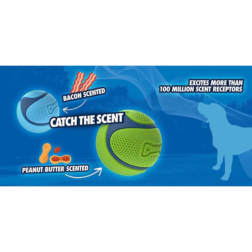 Sniff Fetch Ball Dog Toy H64544