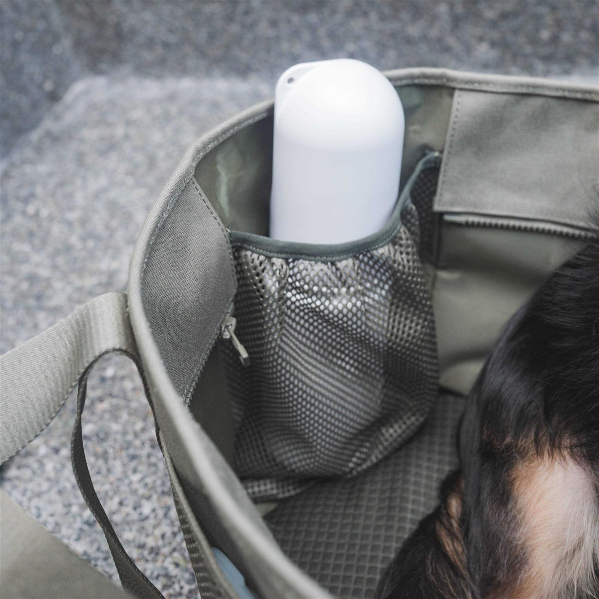 Canvas Lightweight Water Resistant Small Dog Carrier S832030