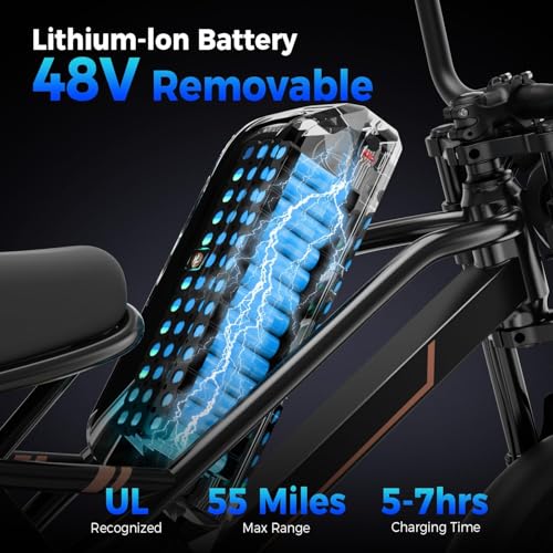 1500W 48V Removable Battery 16'' Fat Tire Full Suspension Electric Bike Q723
