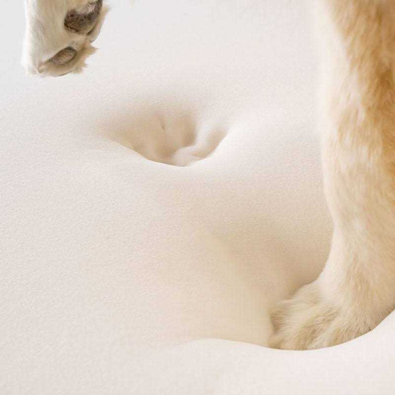 Animal Print Memory Foam Dog Bed Y71470