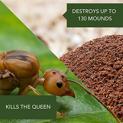 Fire Ant Killer Dust 1 lb Pack of 2 P609