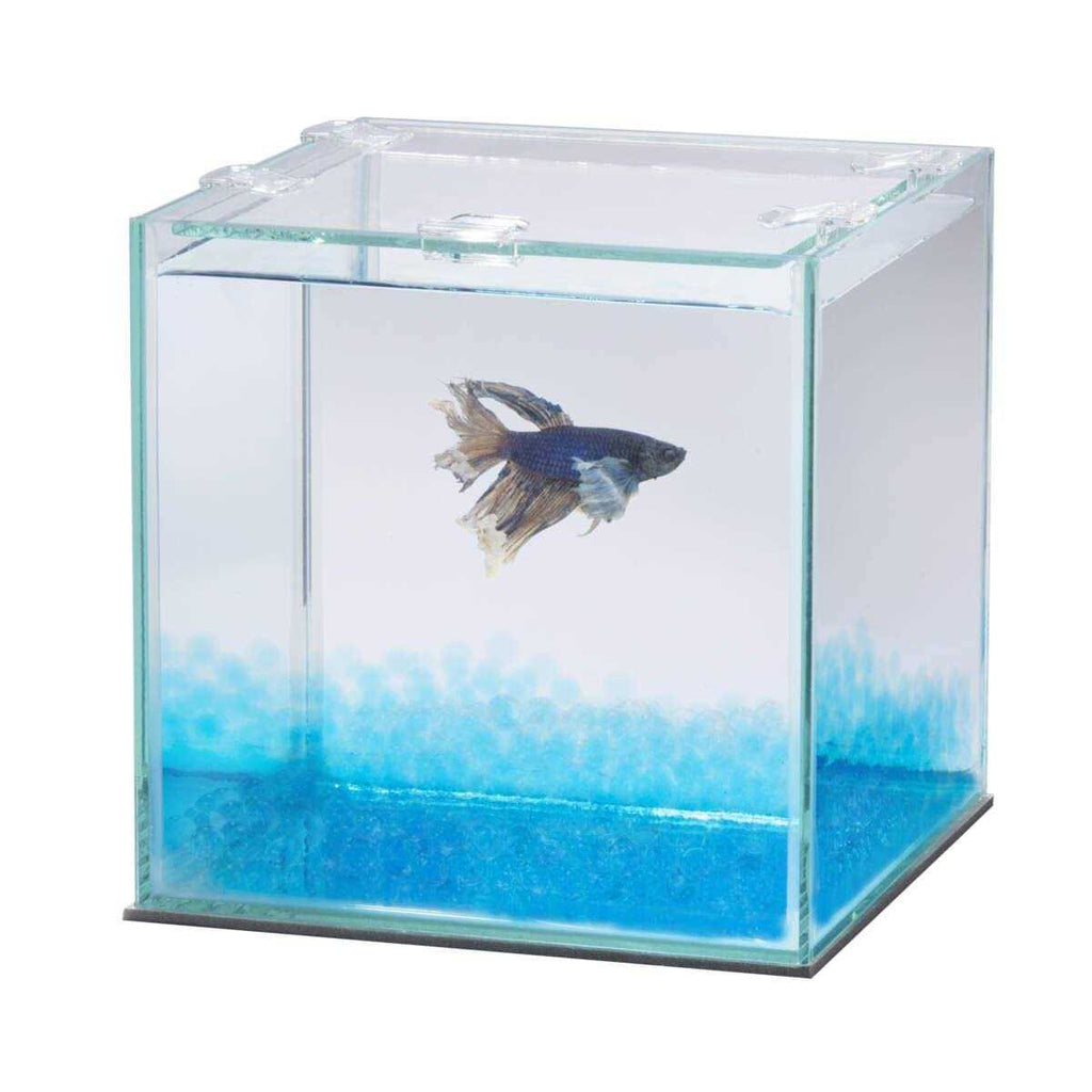 Betta Beads U486