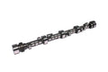 Oval Track Camshaft D76325