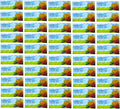 15 Sachets Supplement U3962