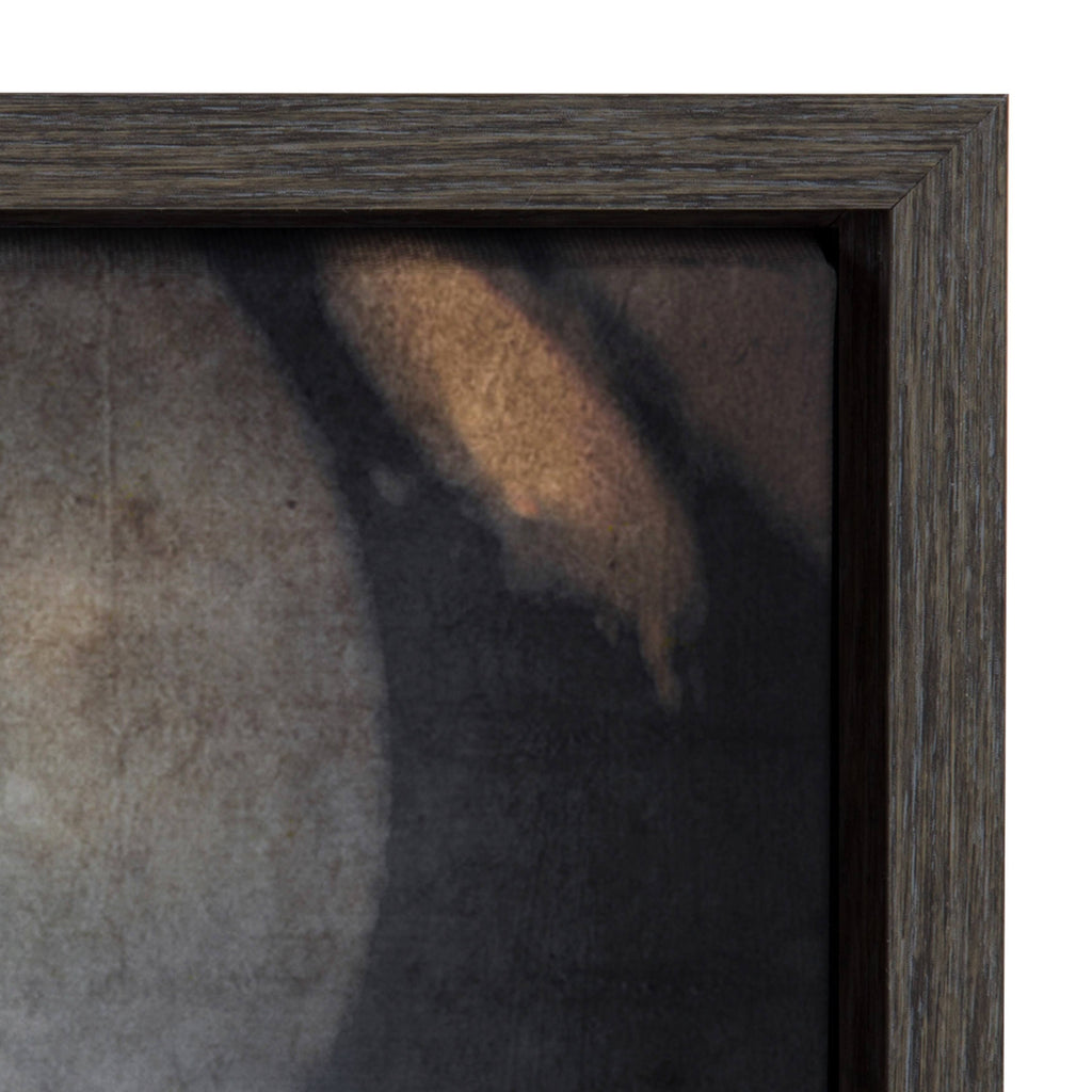 Football Helmet Framed Canvas D4023