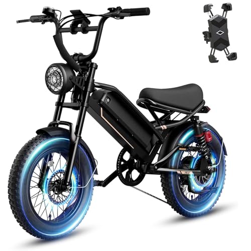 1500W 48V Removable Battery 16'' Fat Tire Full Suspension Electric Bike Q723