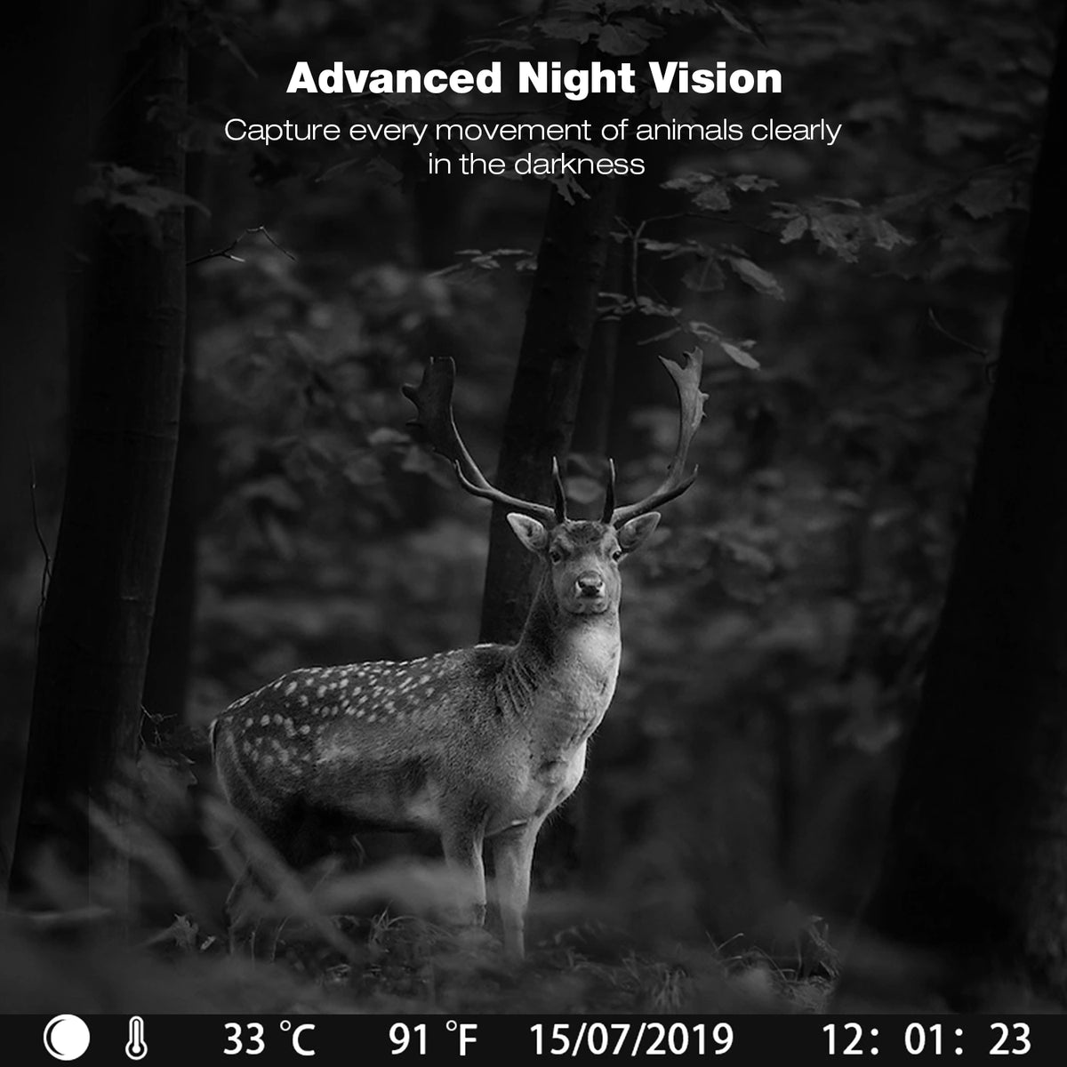 1080P Waterproof Game Camera with Night Vision and SD Card C61903