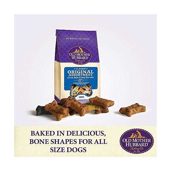Dog Biscuits T420