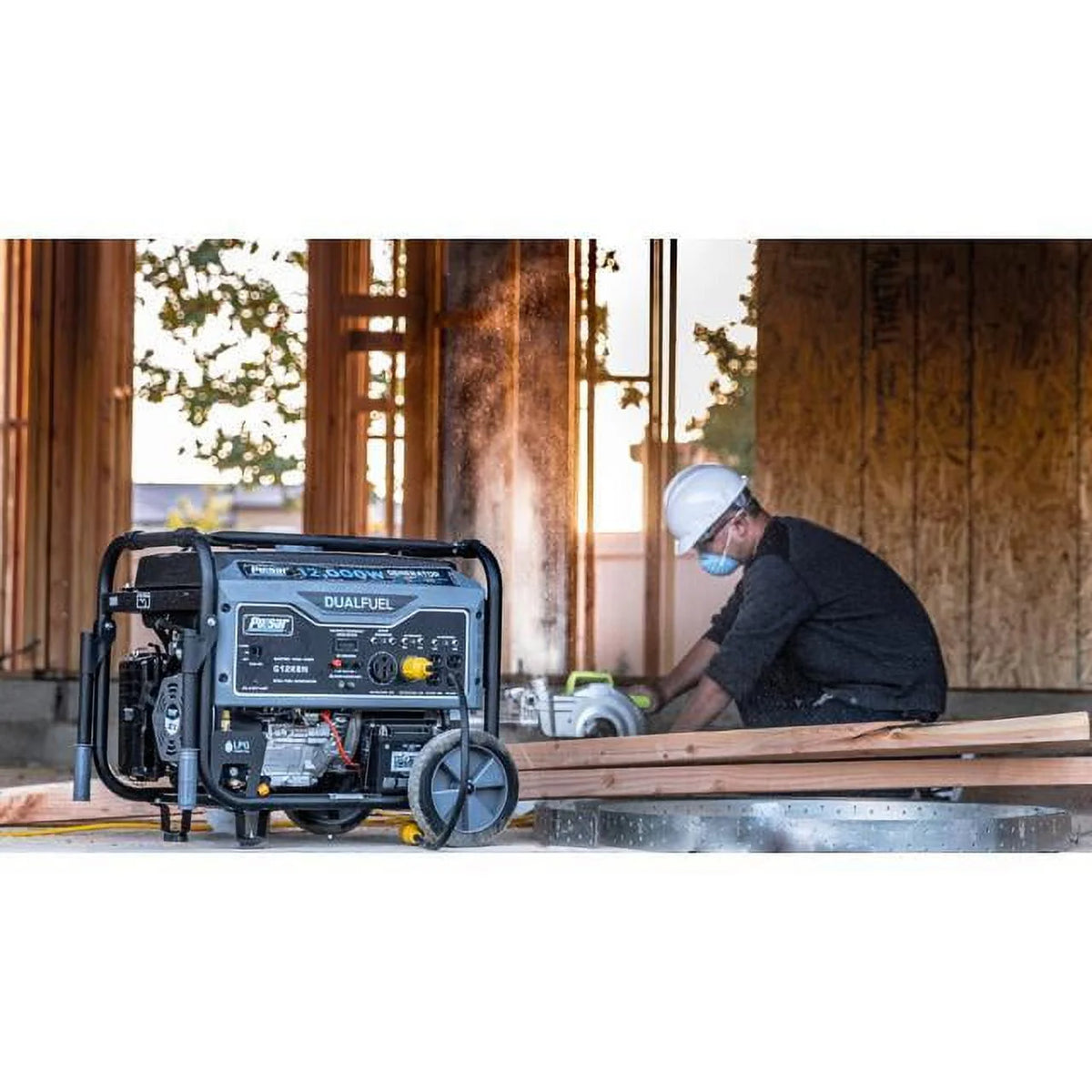 12,000W Dual Fuel Portable Generator with Electric Start L16161