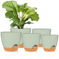 8/7/6.5/6/5.5/5 Inch White Self Watering Plastic Planters X1575