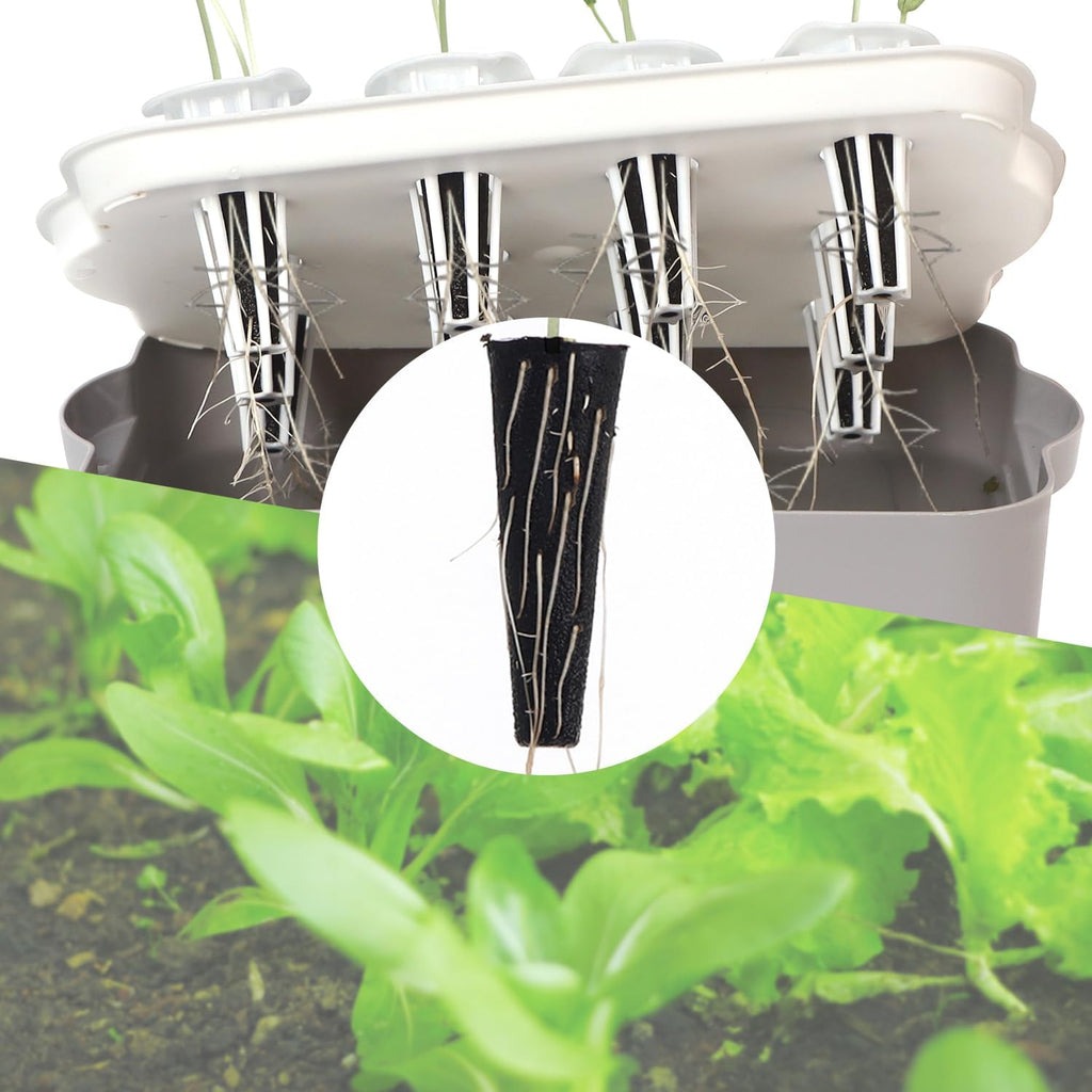 50 Pack Hydroponic Grow Sponges Seed Starter Pods G101