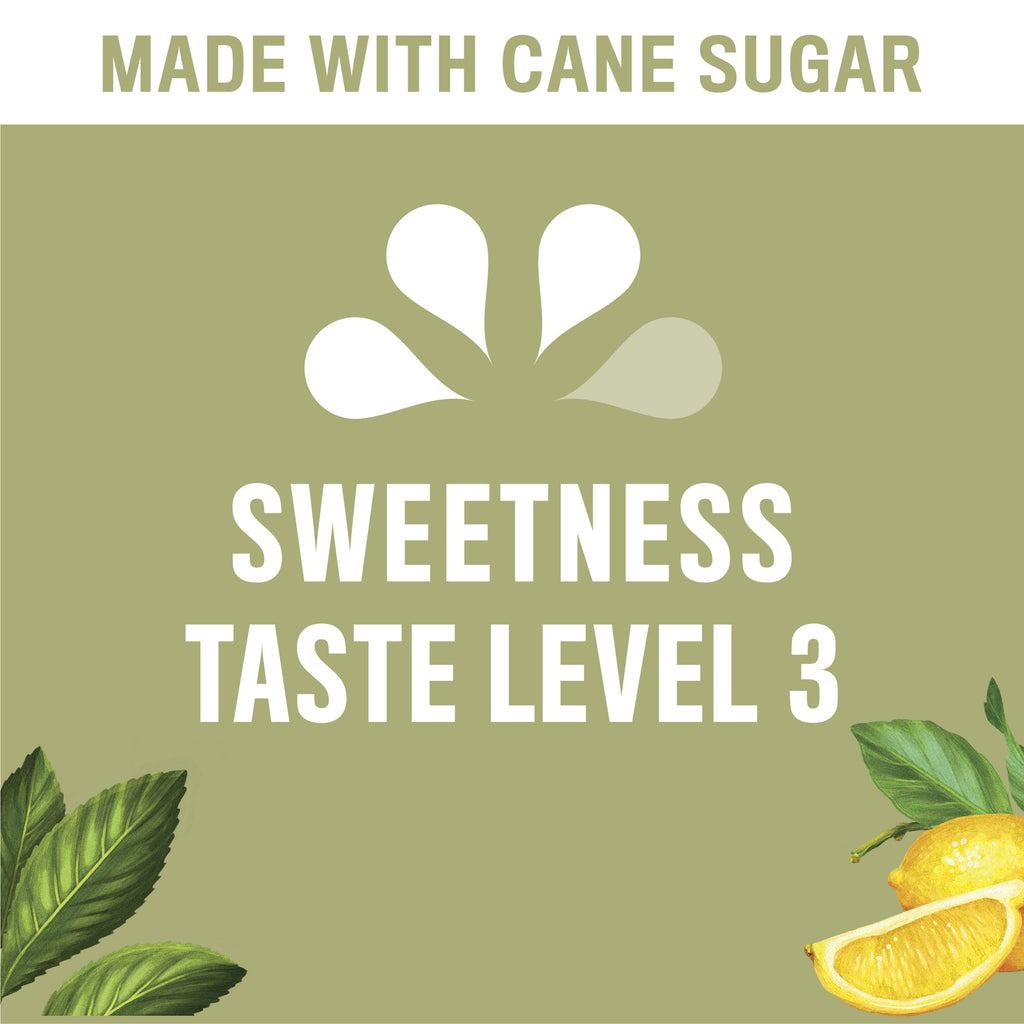18.5 fl oz Sweetened Iced Tea Drink W801261