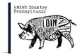 Black Pig on White Canvas Artwork D9422