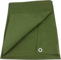 Green Canvas Tarp 12oz Water Resistant 12' x 16' B208085