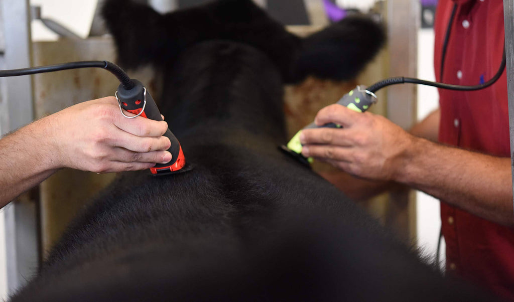 Red High Speed Cattle Fitting Clipper O854943