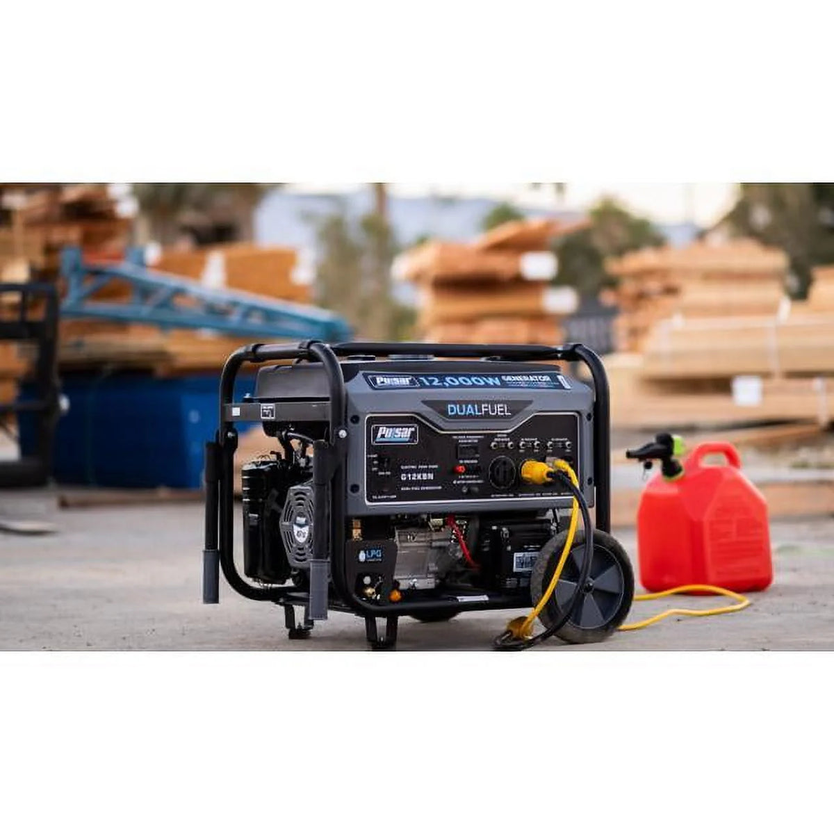 12,000W Dual Fuel Portable Generator with Electric Start L16161