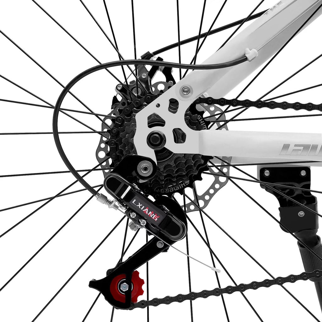 21 Speed Disc Brake Folding Mountain Bike U4948