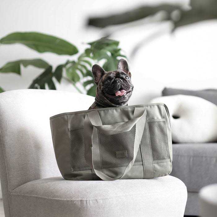 Canvas Lightweight Water Resistant Small Dog Carrier S832030