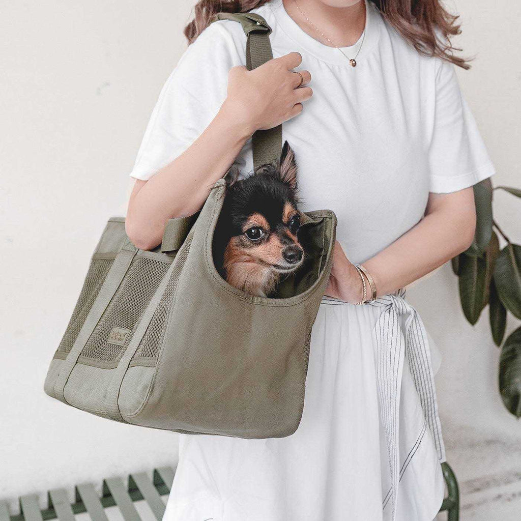 Canvas Lightweight Water Resistant Small Dog Carrier S832030