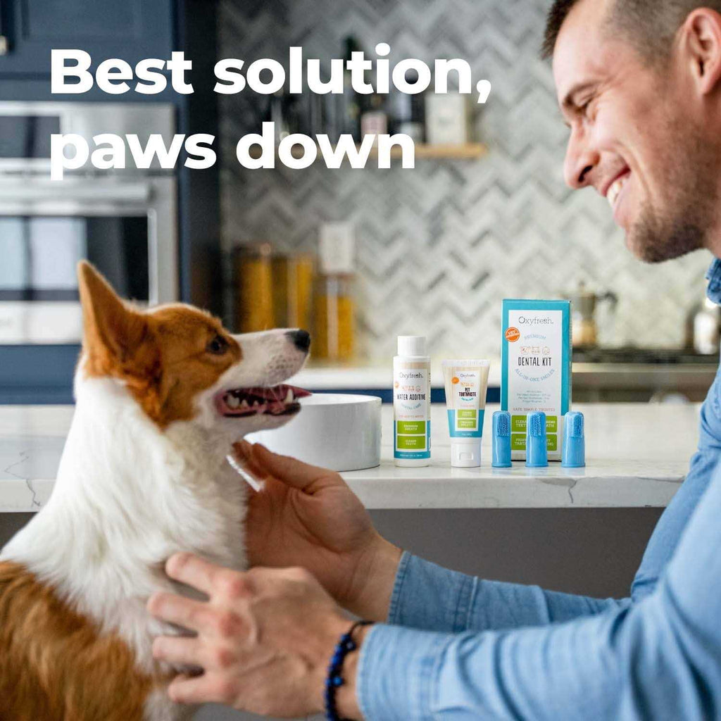 Pet Dental Kit Z5644