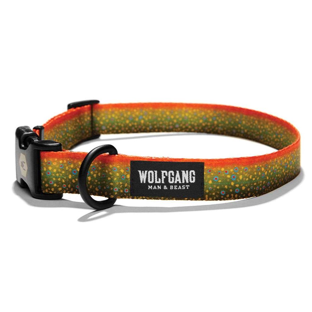 Dog Collar O258