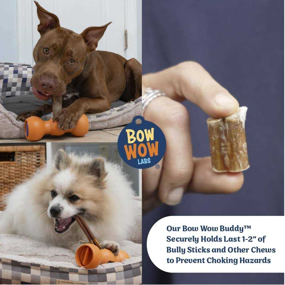 Bully Stick Holder for Dogs Starter Kit K467