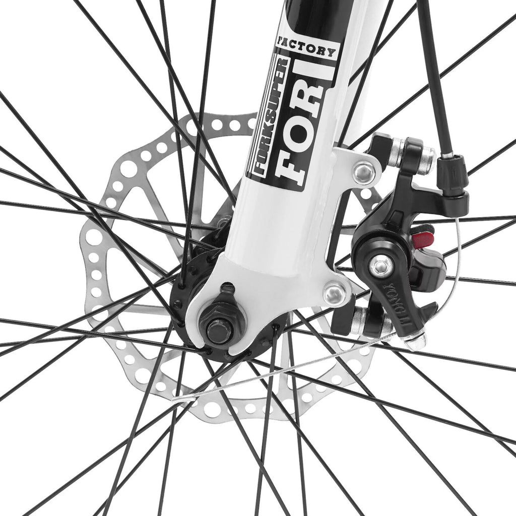21 Speed Disc Brake Folding Mountain Bike U4948