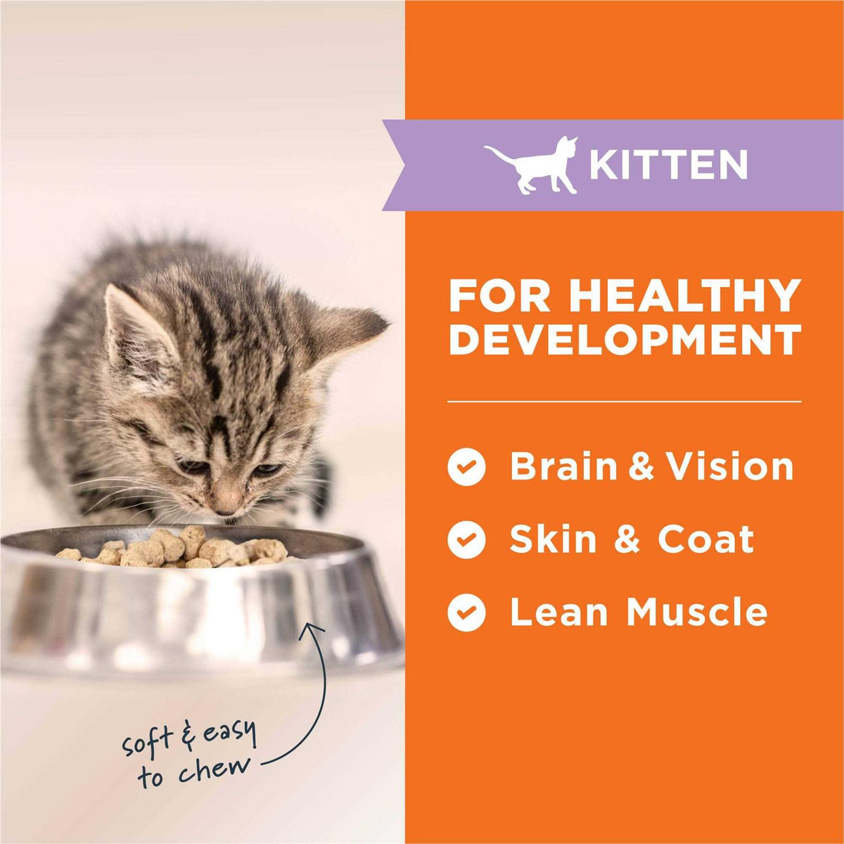 Freeze Dried Chicken Kitten Food L3888