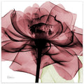 Tempered Glass Panel Wall Art B72988