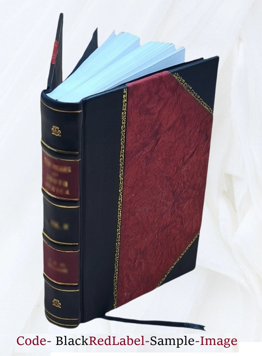 Leather Bound Volume 2 1905 H882