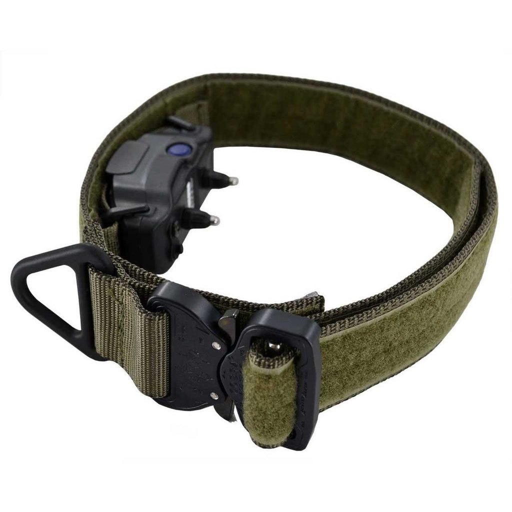 ID Collar G16687